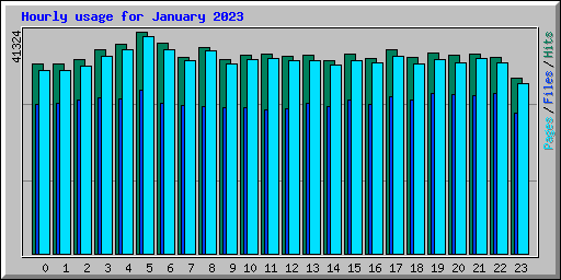 Hourly usage for January 2023