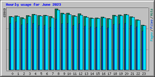 Hourly usage for June 2023