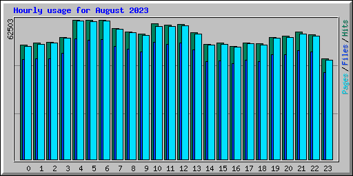 Hourly usage for August 2023