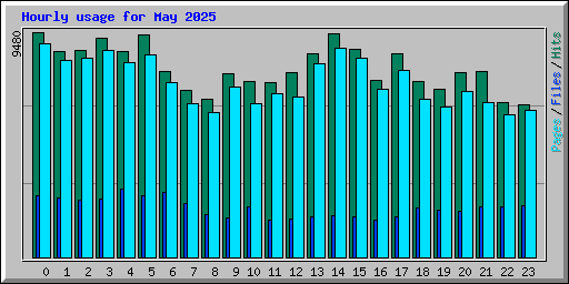 Hourly usage for May 2025