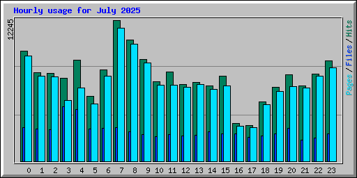 Hourly usage for July 2025