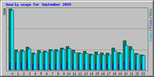 Hourly usage for September 2025