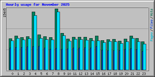 Hourly usage for November 2025