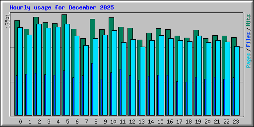 Hourly usage for December 2025