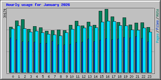Hourly usage for January 2026