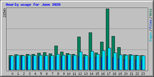 Hourly usage for June 2026