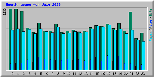 Hourly usage for July 2026
