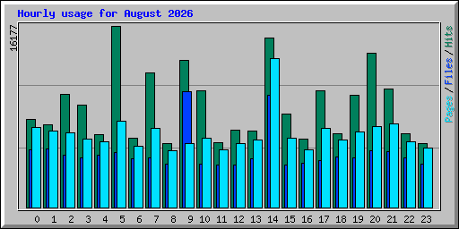 Hourly usage for August 2026